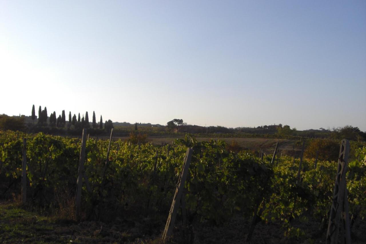 Tenuta Santagnese Montepulciano Stazione Exterior foto