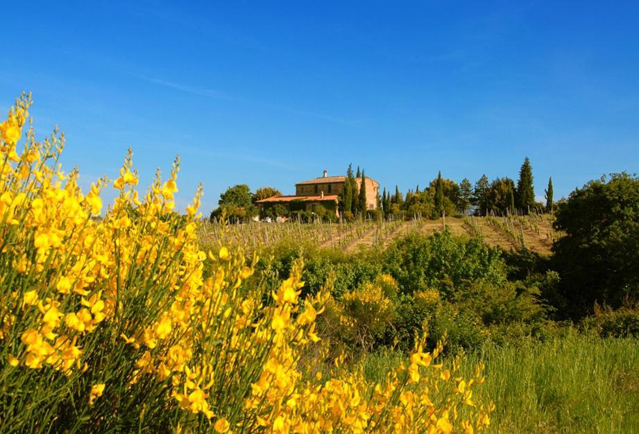 Tenuta Santagnese Montepulciano Stazione Exterior foto