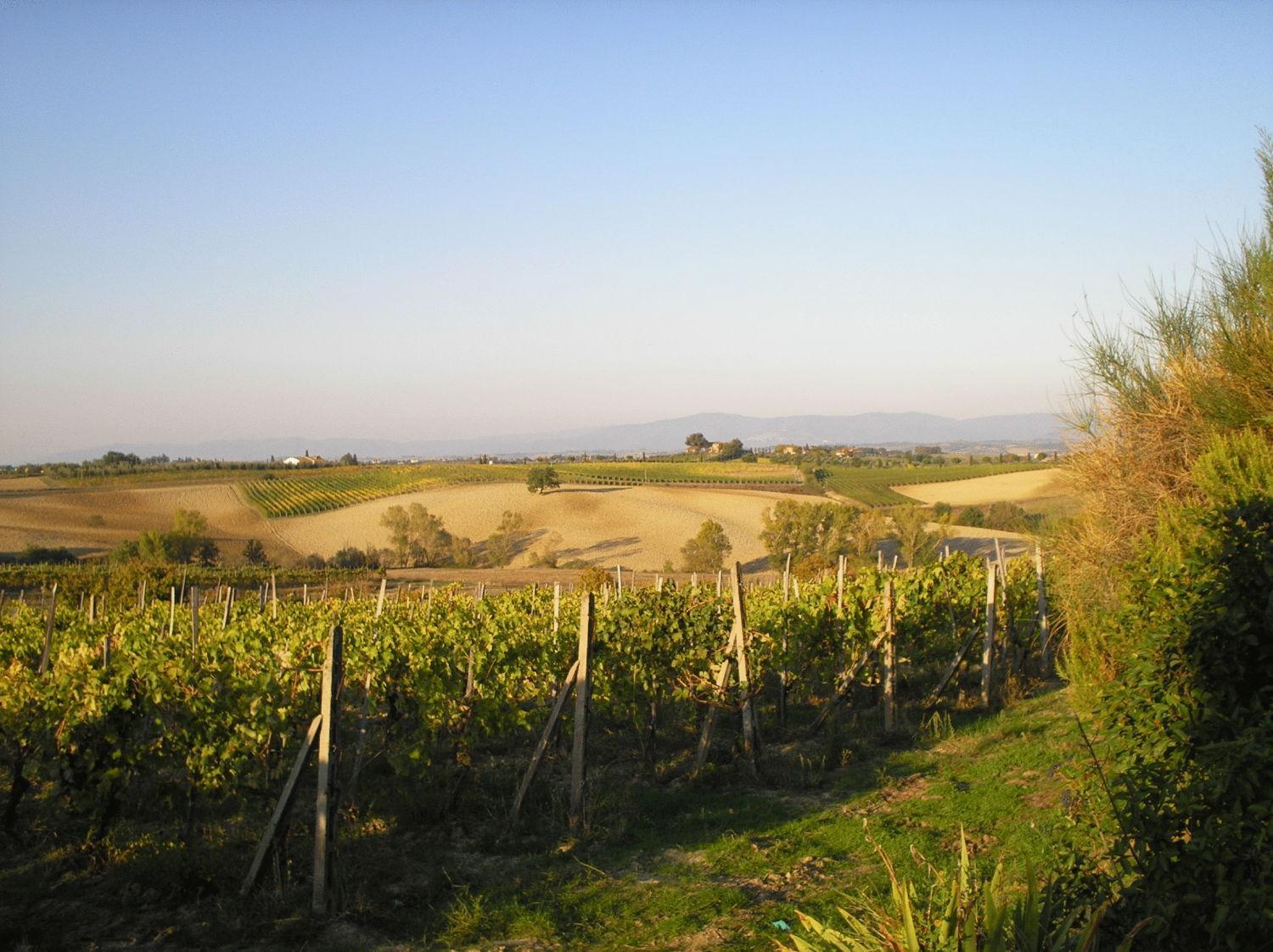 Tenuta Santagnese Montepulciano Stazione Exterior foto